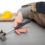 The Legal Process for Injured Workers in NY Construction Site Accidents